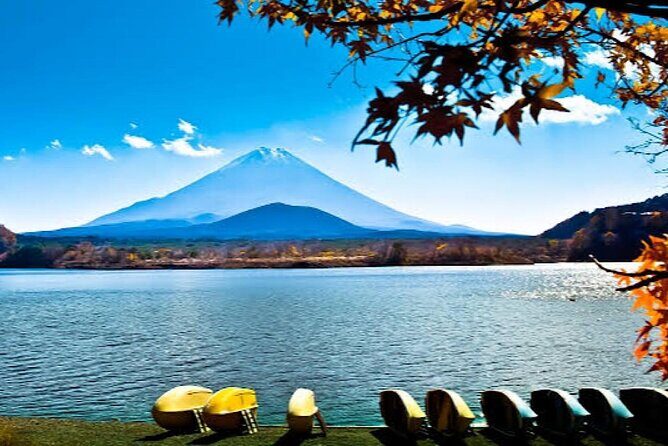 Tokyo: Customized Mt. Fuji & Hakone Sightseeing Private Day Trip - What your day looks like: a real 10-hour rhythm