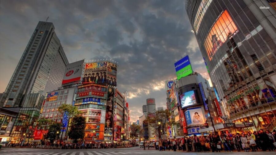 Tokyo: Customized Private Tour with a Local Guide - Price and Value: What $85 Buys You in Tokyo