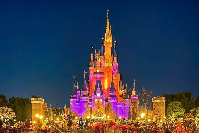 Tokyo Disney Resort Park E-Tickets with Options - Getting there in Tokyo: metro pass vs. your own plan