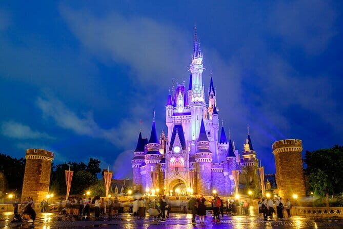 Tokyo Disney Resort Park E-Tickets with Options - E-ticket entry that works from your phone