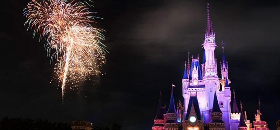 Tokyo Disneyland: 1-Day Entry Ticket and Private Transfer - Price, value, and who this private transfer setup suits best