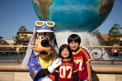 Tokyo DisneySea: 1-Day Ticket & Private Transfer - Tokyo DisneySea in One Day: Ports, Highlights, and How to Choose