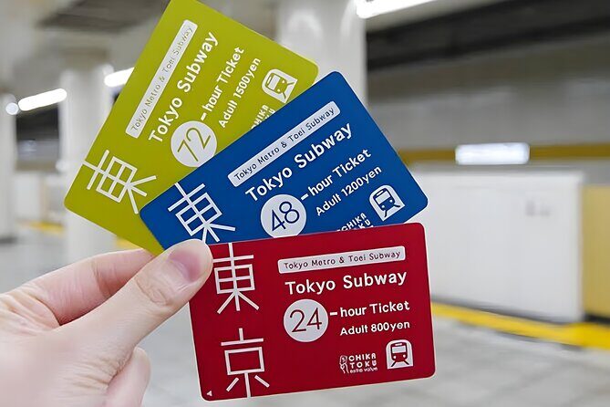 Tokyo Disneysea Ticket & Tokyo Subway Pass - A prebooked DisneySea day with less stress
