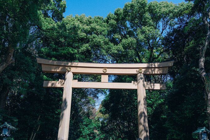 Tokyo Early Morning Tour Asakusa Meiji Shrine (Private Opt) - Asakusa first: Senso-ji and Nakamise street energy