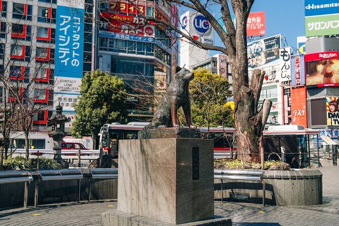 Tokyo Early Morning Tour Asakusa Meiji Shrine (Private Opt) - Shibuya Crossing: seeing the famous scramble, then finishing at Hachiko