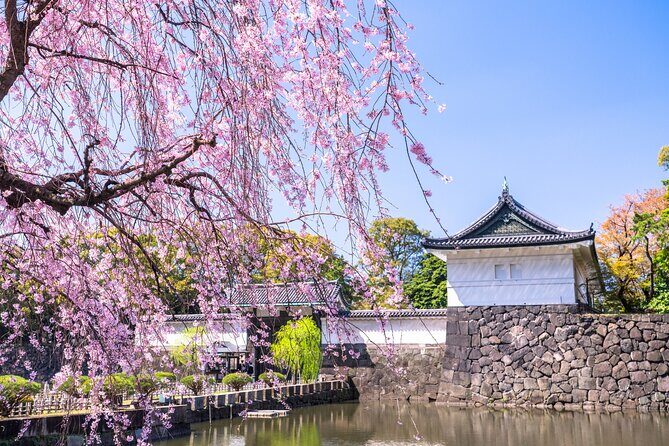 Tokyo, Edo Castle & East Garden of the Imperial Palace Tour - Key things to know before you go
