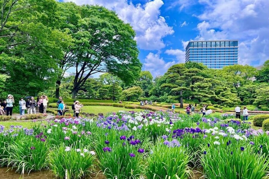 Tokyo: Edo Castle & East Garden of the Imperial Palace Tour - Who this tour fits best (and who might want a different plan)
