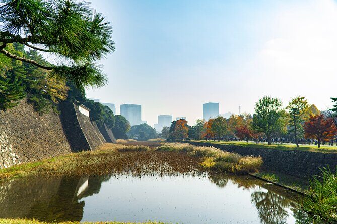 Tokyo: Edo Castle & East Garden of the Imperial Palace Tour - East Gardens of the Imperial Palace: walking Edo Castle history, not just garden views