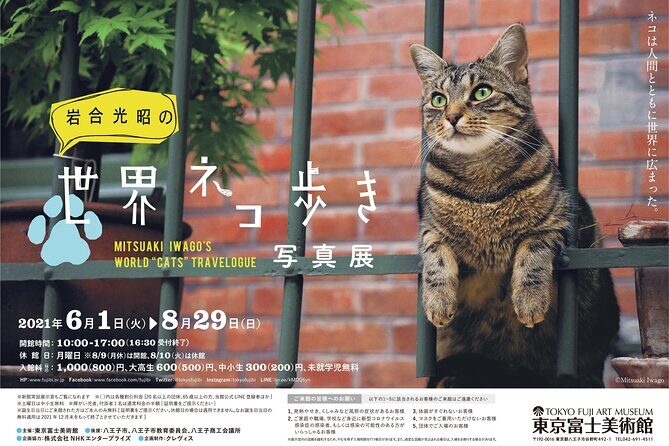 Tokyo Fuji Art Museum Admission Ticket + Special Exhibition (when being held) - Price and Value: The $5.27 Ticket Logic