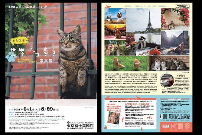 Tokyo Fuji Art Museum Admission Ticket + Special Exhibition (when being held) - Who This Ticket Is Best For