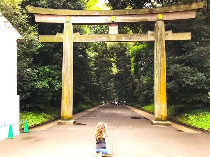 Tokyo: Full Course Tour: Explore 15 Must-Sees & Hidden Gems - Hachiko and Shibuya Crossing: iconic photos plus smarter street sense