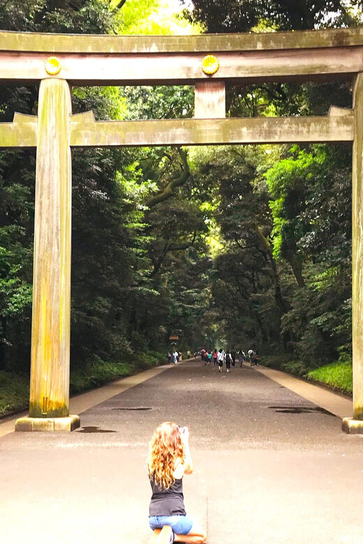 Tokyo: Full Course Tour: Explore 15 Must-Sees & Hidden Gems - Ameyoko to Sensō-ji and Asakusa Shrine: street life to sacred old Tokyo