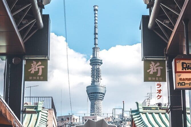 Tokyo Full Day Customize Private City Tour - Meiji Jingu to Harajuku: From Shrine Quiet to Street Energy