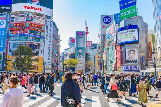 Tokyo Full Day Customize Private Tour with English Guide - Hotel pickup, WiFi, and air-conditioned rides: the practical upgrades