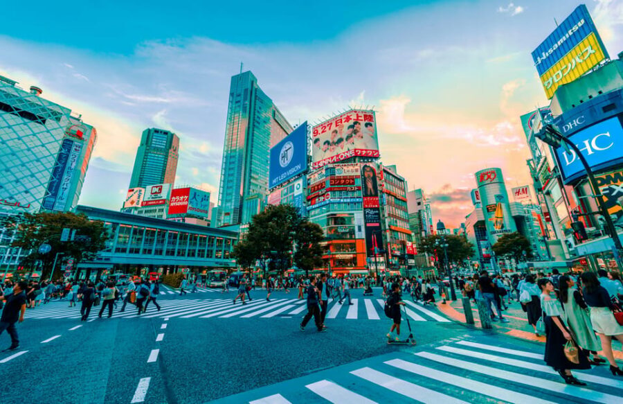 Tokyo: Full-day Immersive Private Tour by Premium Car - From Senso-ji Photo Stop to a Guided Feel in Asakusa