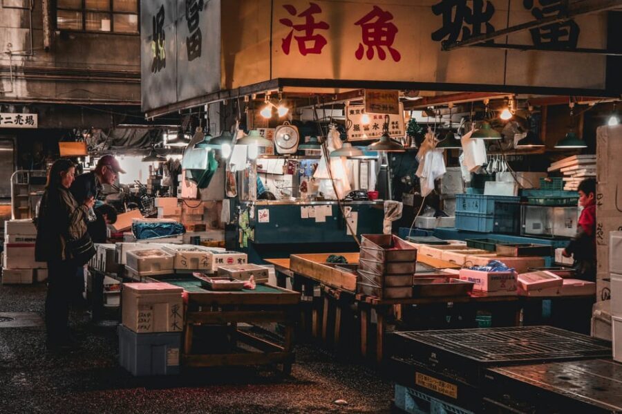 Tokyo: Full-day Immersive Private Tour by Premium Car - Price and Logistics: What You’re Really Paying For