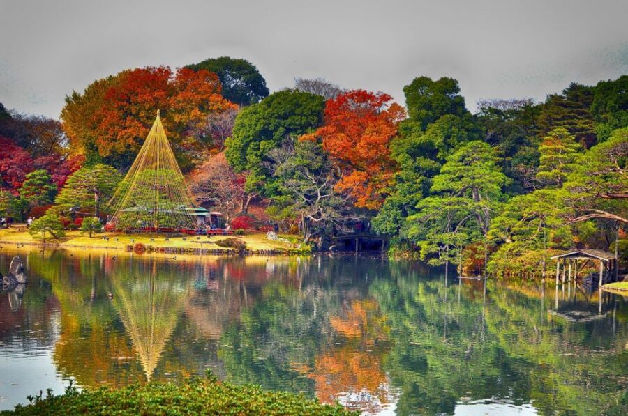 Tokyo: Full-Day Japanese Garden Private Guided Tour - Tokyo Japanese Gardens, But With a Person Who Knows the Way