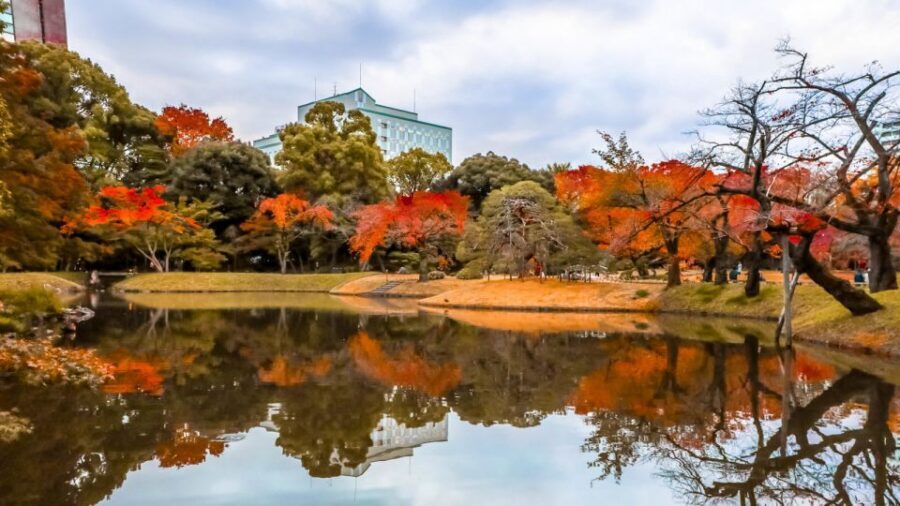 Tokyo: Full-Day Japanese Garden Private Guided Tour - Pickup, Timing, and How the Day Actually Starts