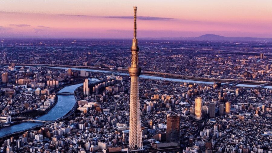 Tokyo Full day Private Customized Tour with English Driver - Private, English-Speaking Driver: The Real Point of This Tour