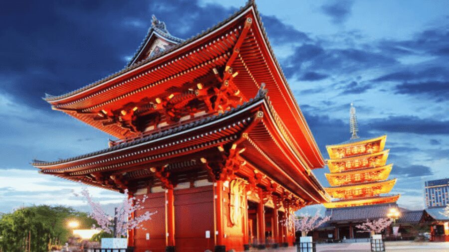 Tokyo Full day Private Customized Tour with English Driver - Tsukiji Fish Market: Morning Flavor, Market Reality, and Short Time