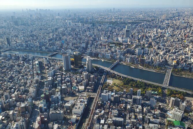 Tokyo Full-Day Private Tour (Customizable) - The pacing of an 8-hour private day: enough time to see, not enough to linger forever