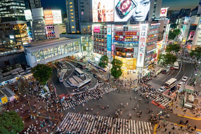 Tokyo Full-Day Private Tour (Customizable) - Price and value: $354 per group up to 5, and where it can pay off