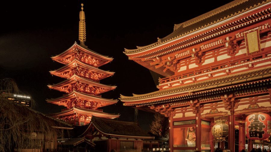 Tokyo full day private tour with Guide - Tokyo private day: how the luxury vehicle changes your pace