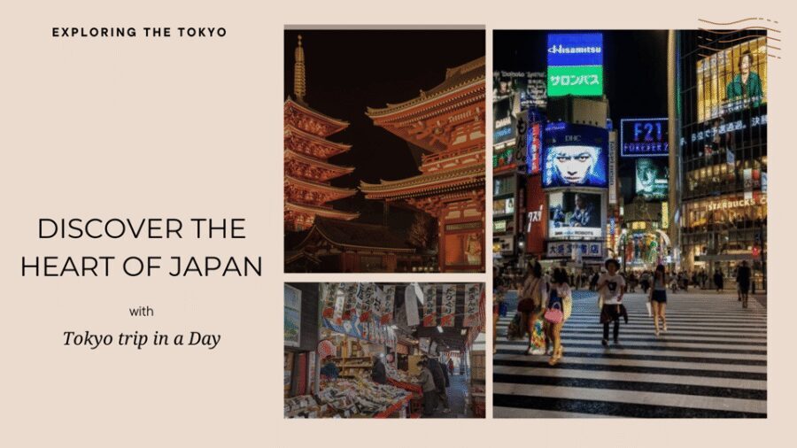 Tokyo full day private tour with Guide - Shibuya Crossing: use the chaos with a guided clock