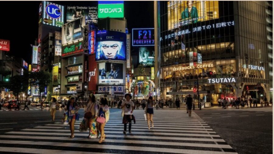 Tokyo full day private tour with Guide - Imperial skies: Tokyo Skytree and Tokyo Tower in one day