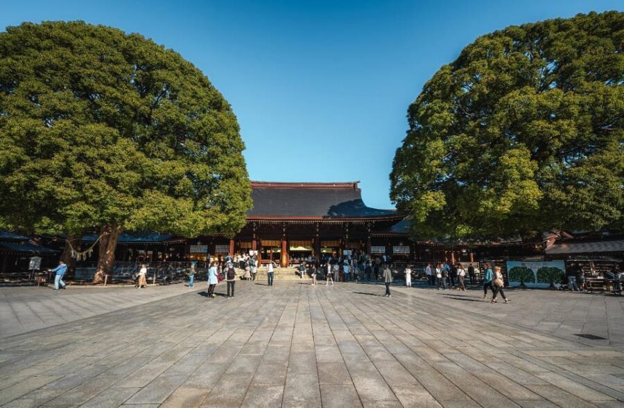 Tokyo full day Spanish speaking tour with hotel pick up and drop off. - Who should book this Spanish private Tokyo day