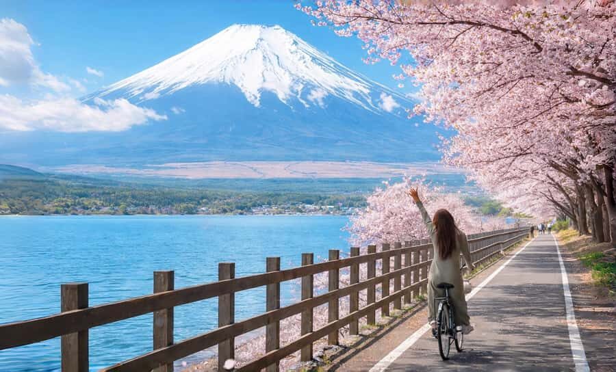 Tokyo: Full-Day Tour of the Six Majestic Spots of Mt Fuji - Key things I’d bank on