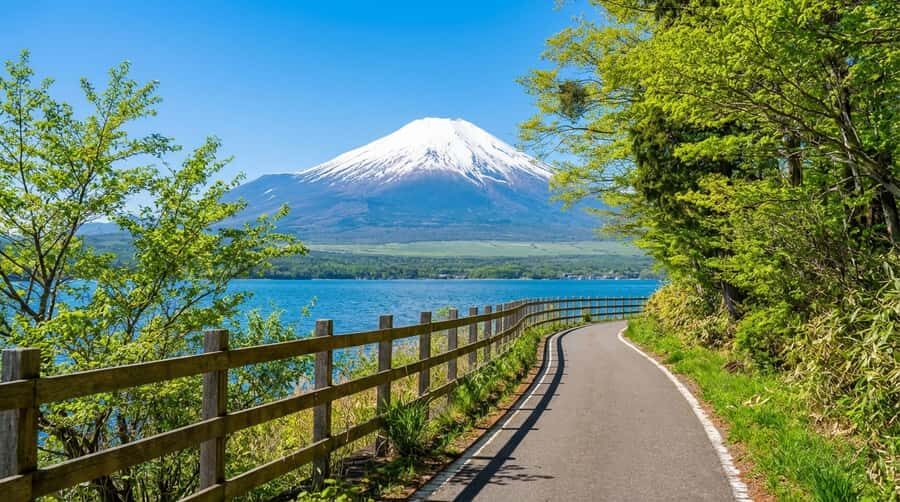 Tokyo: Full-Day Tour of the Six Majestic Spots of Mt Fuji - Higashikawa Clock Shop & Lawson: The Fuji-Facing Convenience-Store Moment