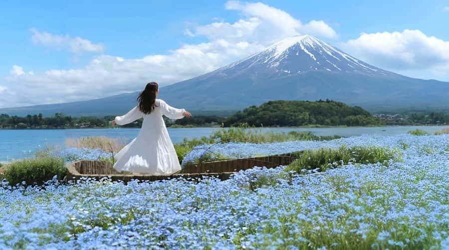 Tokyo: Full-Day Tour of the Six Majestic Spots of Mt Fuji - Oishi Park on Lake Kawaguchi: Match the Flower Calendar to Fuji
