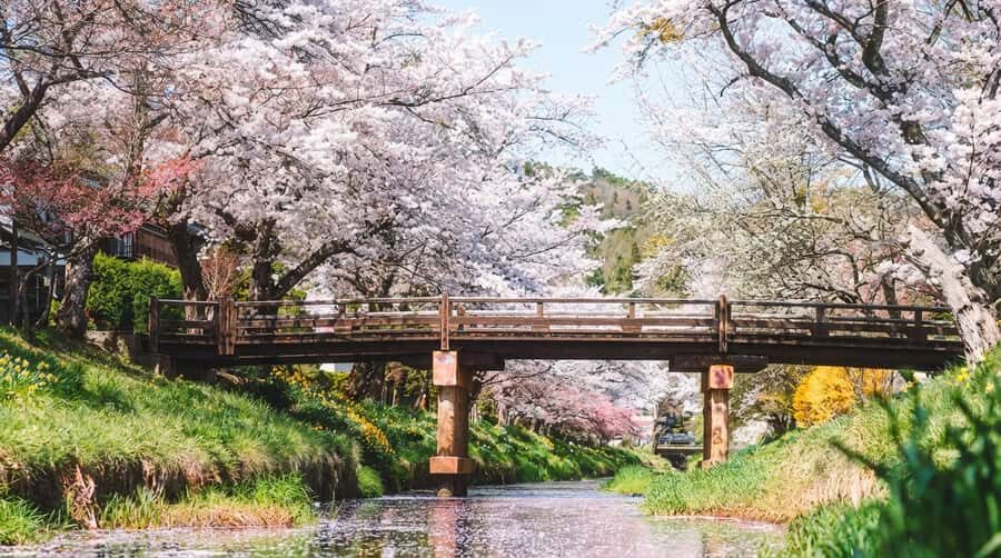 Tokyo: Full-Day Tour of the Six Majestic Spots of Mt Fuji - Who This Tour Fits Best (and Who Might Skip It)