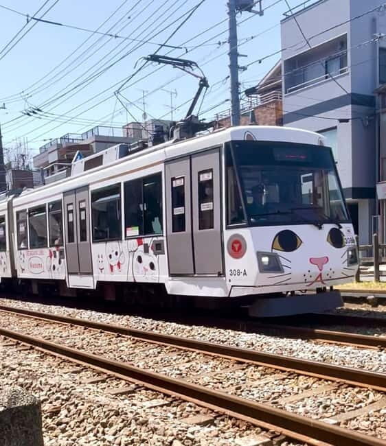 Tokyo: Gotokuji Cat Temple, Shinjuku Cat Cafe & 3D Cat Tour - What the guide adds (and why small groups matter)