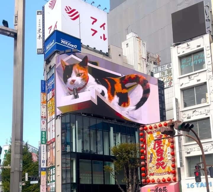 Tokyo: Gotokuji Cat Temple, Shinjuku Cat Cafe & 3D Cat Tour - Price and value: what you’re paying for