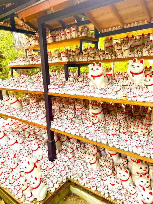 Tokyo: Gotokuji Cat Temple, Shinjuku Cat Cafe & 3D Cat Tour - Starting in Shinjuku: find the Giant 3D Cat fast