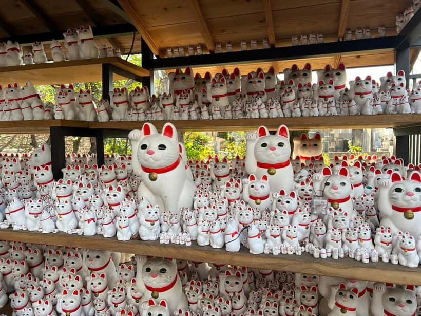 Tokyo: Gotokuji Culture Walk & Lucky Cat Temple Experience - The 90-minute rhythm: photo stop, guide talk, then temple time