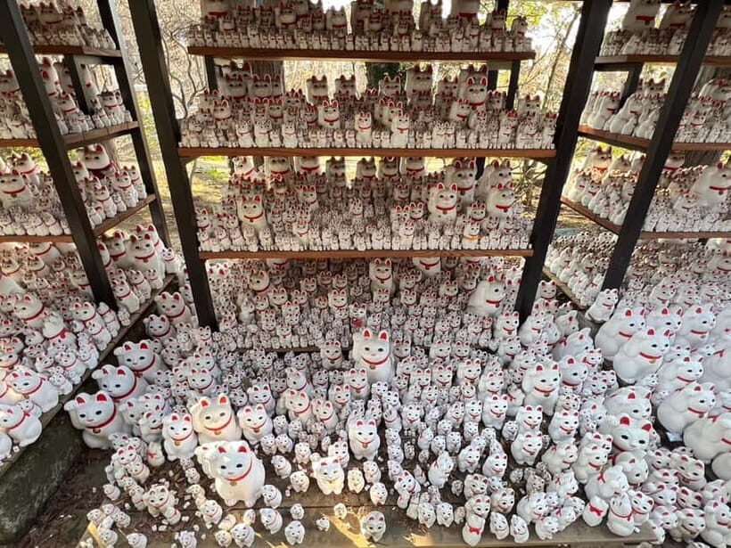 Tokyo: Gotokuji Culture Walk & Lucky Cat Temple Experience - Incense experience: why a guided ritual helps