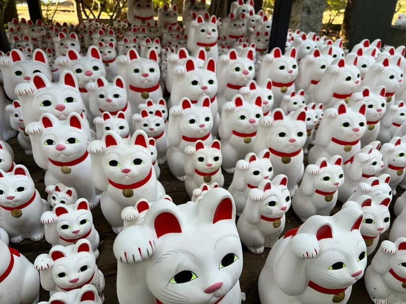 Tokyo: Gotokuji Culture Walk & Lucky Cat Temple Experience - Finding your way at Gotokuji Station (Odakyu Line)