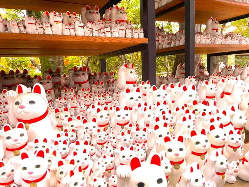 Tokyo: Gotokuji Lucky Cat Temple & Harajuku Cat Cafe Tour - How the tour balances cats, stories, and short Tokyo legs