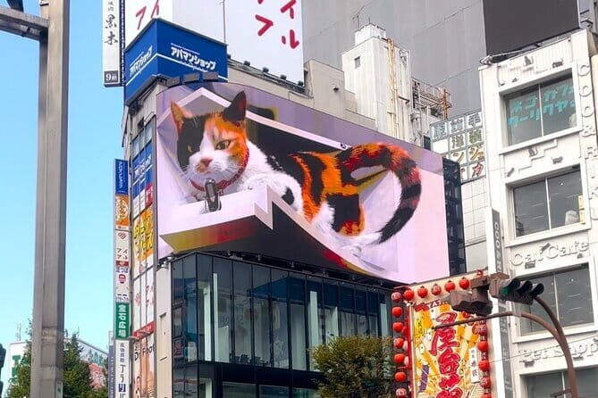 Tokyo: Gotokuji Lucky Cat Temple, Shinjuku Cat Cafe, 3D Giant Cat - MOCHA Lounge Cat Café in Shinjuku: 30 Minutes With About 30 Cats