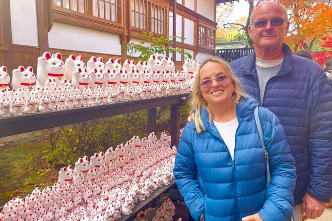 Tokyo: Gotokuji Lucky Cat Temple, Shinjuku Cat Cafe, 3D Giant Cat - Gotokuji Temple and Its Thousand Lucky Cats