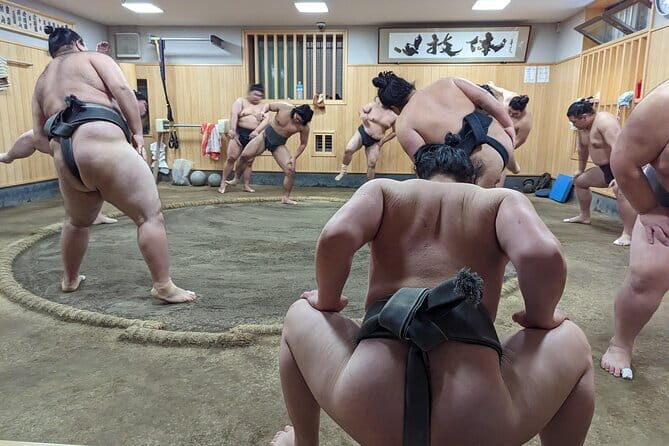 Tokyo: Gotokuji Lucky Cat Temple, Shinjuku Cat Cafe, 3D Giant Cat - Who Should Book This Cat-Themed Tokyo Walk