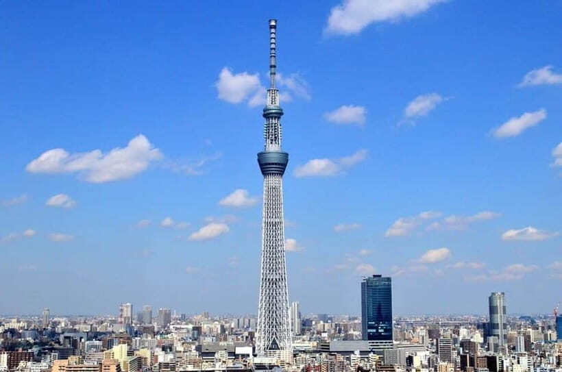 Tokyo: Guided Exploration with a Private Driver - Price and value: what $419 buys you (and what it doesn’t)