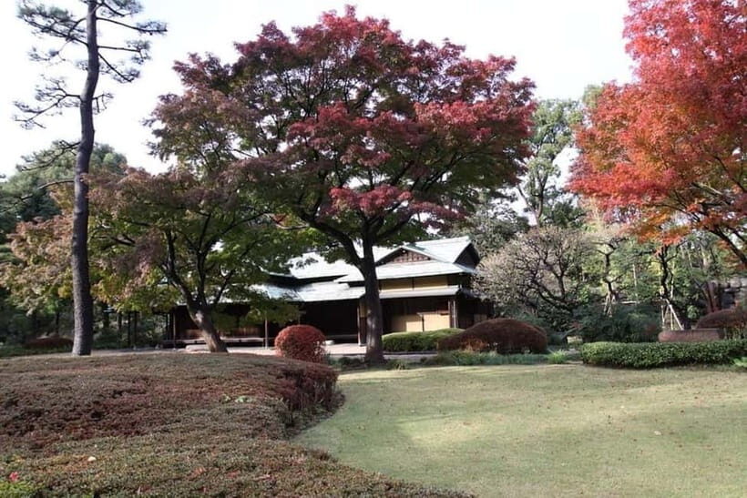 Tokyo: Guided Exploration with a Private Driver - Meiji Shrine: calm Shinto atmosphere in the middle of the city