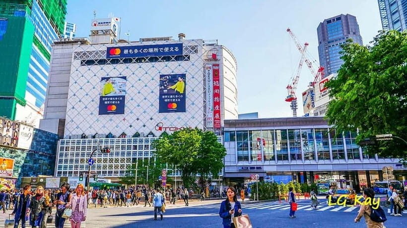Tokyo: Guided Exploration with a Private Driver - Getting picked up in Tokyo (and why the first 20 minutes matter)