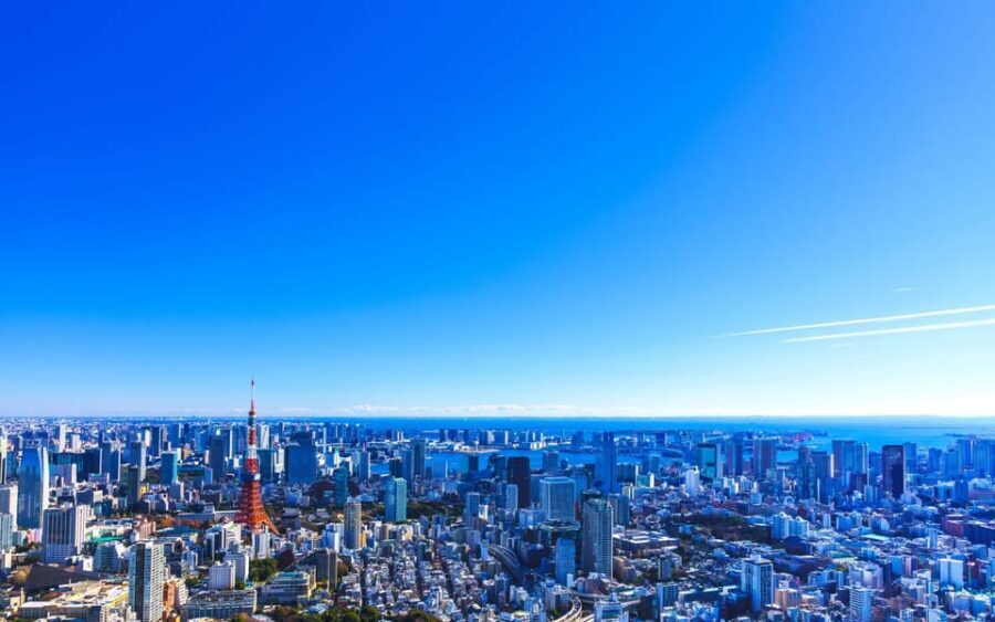 Tokyo: Guided Helicopter Ride - Key things to know before you go