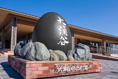 Tokyo: Hakone Fuji Day Tour w/ Cruise, Cable Car, Volcano - The morning bus run: comfortable ride, real time limits