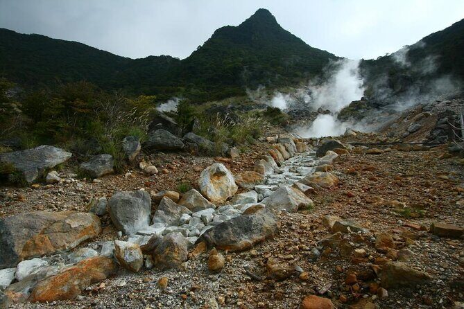 Tokyo Hakone : Mt.Fuji, Owakudani, Open Air Museum, Hakone Shrine - Key things I’d prioritize